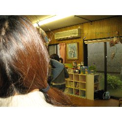 510@񂰁@_48
