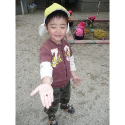 514@@}[uO_2