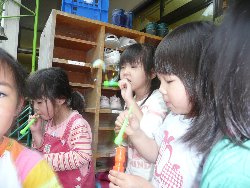 530@炢@V{ʂ_5
