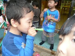 530@炢@V{ʂ_21