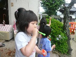 530@炢@V{ʂ_24