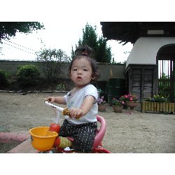 616@@OV_11