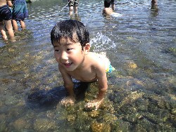 729@@삠_14