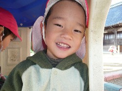 1219@炢@N󓊔̗lq_5