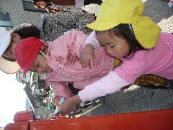 1219@炢@N󓊔̗lq_20