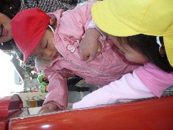 1219@炢@N󓊔̗lq_21