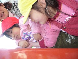 1219@炢@N󓊔̗lq_23