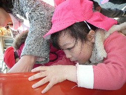 1219@炢@N󓊔̗lq_28