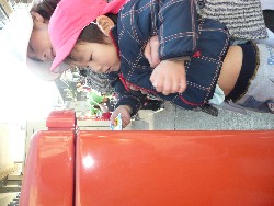 1219@炢@N󓊔̗lq_29