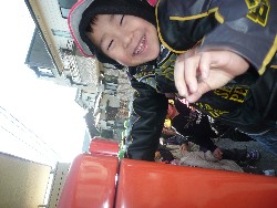 1219@炢@N󓊔̗lq_35
