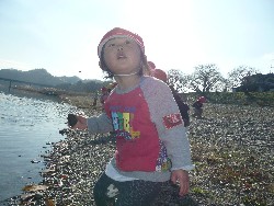 1219@炢@N󓊔̗lq_37