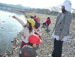 1219@炢@N󓊔̗lq_38