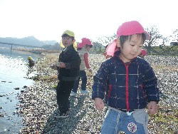 1219@炢@N󓊔̗lq_39