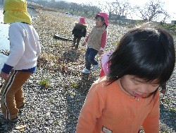 1219@炢@N󓊔̗lq_41