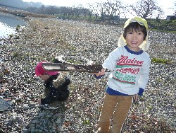 1219@炢@N󓊔̗lq_42