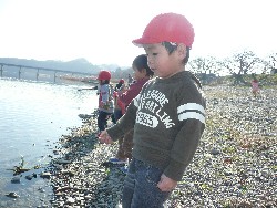 1219@炢@N󓊔̗lq_44