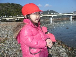 1219@炢@N󓊔̗lq_46
