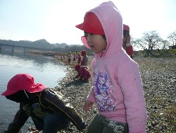1219@炢@N󓊔̗lq_48