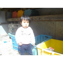 317@@날_32