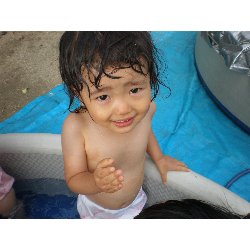 730@@v[_11