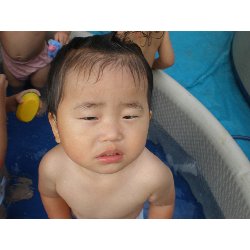 730@@v[_12