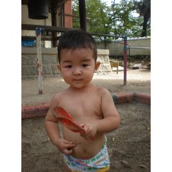 730@@v[_16