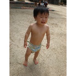 730@@v[_20