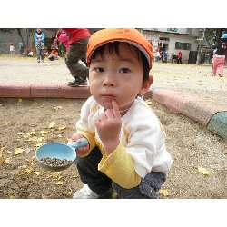 1116@@날_17