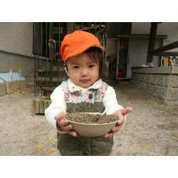 1116@@날_18