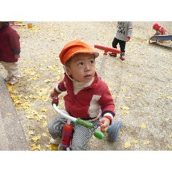 1116@@날_20