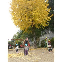 1119@O[v_21