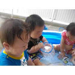 8��2���@�����@�v�[���V��_13