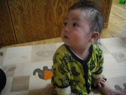 4��2���@�����@�g�̑���_4