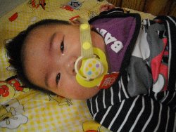 4��2���@�����@�g�̑���_5