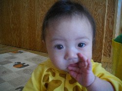 4��2���@�����@�g�̑���_35