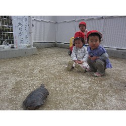 4��8���@������ˊO������_6