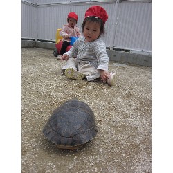 4��8���@������ˊO������_7