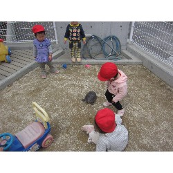 4��8���@������ˊO������_8