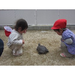 4��8���@������ˊO������_9