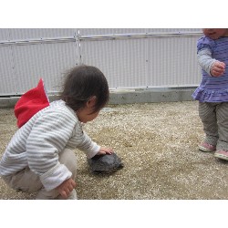 4��8���@������ˊO������_10