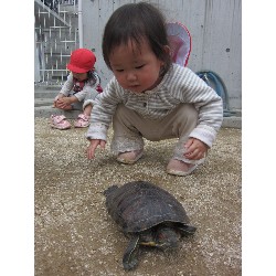 4��8���@������ˊO������_11