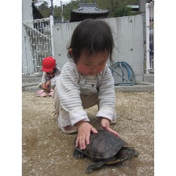 4��8���@������ˊO������_12