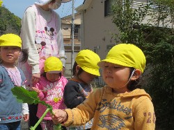 4��5���@�쐼��񂰁@�����݂̐X_4