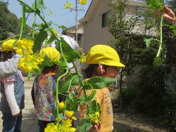 4��5���@�쐼��񂰁@�����݂̐X_5