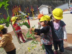 4��5���@�쐼��񂰁@�����݂̐X_6