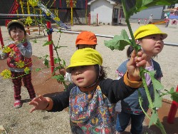 4��5���@�쐼��񂰁@�����݂̐X_7