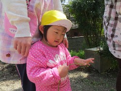 4��5���@�쐼��񂰁@�����݂̐X_8