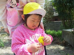 4��5���@�쐼��񂰁@�����݂̐X_9