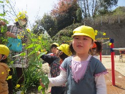 4��5���@�쐼��񂰁@�����݂̐X_11