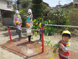 4��5���@�쐼��񂰁@�����݂̐X_12